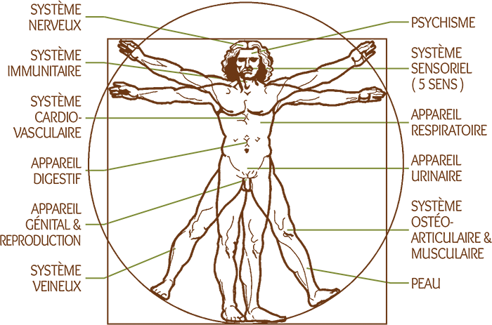 Schéma des champs d'intervention